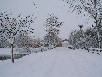 Puente nevado.        Manuel Fernndez